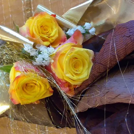 Riviera 3* Marina di Ravenna