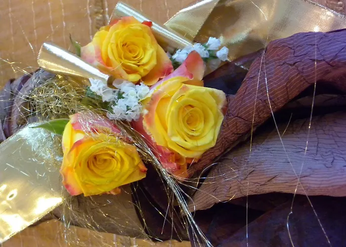 Riviera 3* 마리나디라벤나